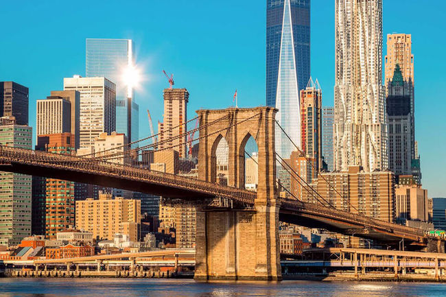 Internationale Studienreisen.