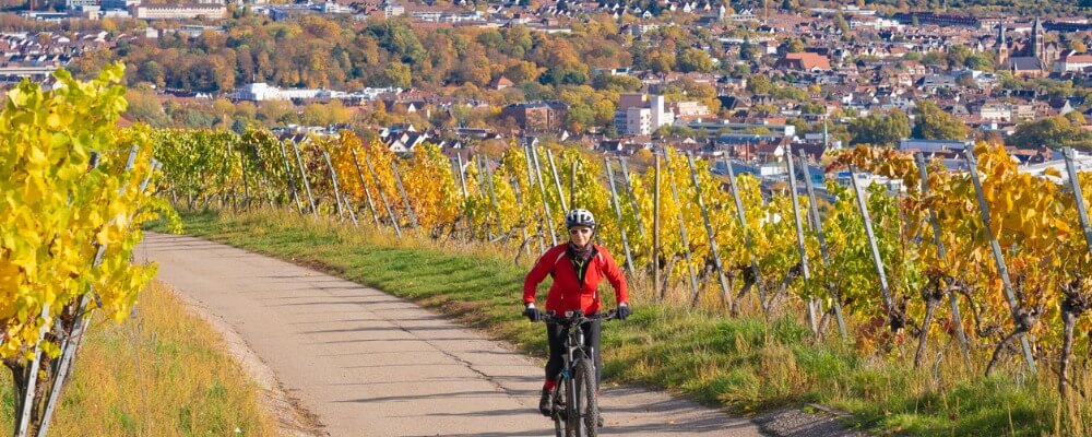 MBA Vertriebsingenieurwesen in Baden-Württemberg?