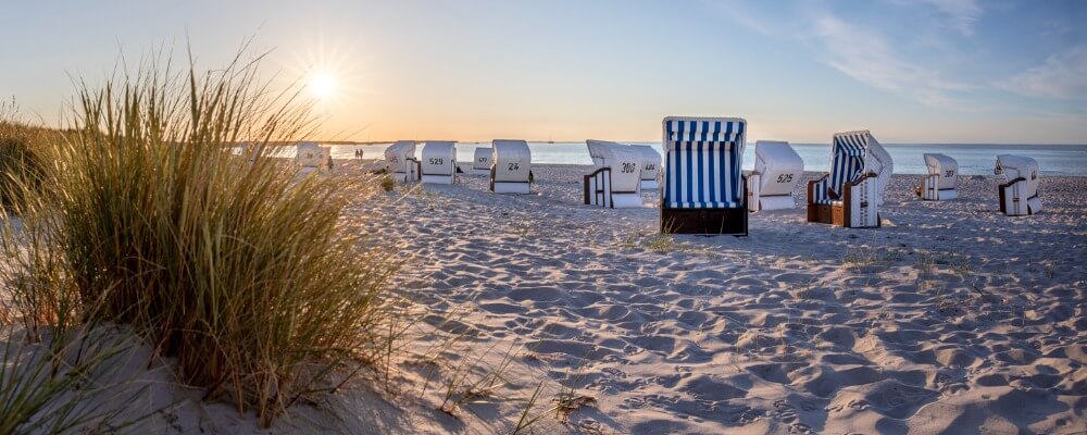 Fernstudium Gesundheitsmanagement in Mecklenburg-Vorpommern