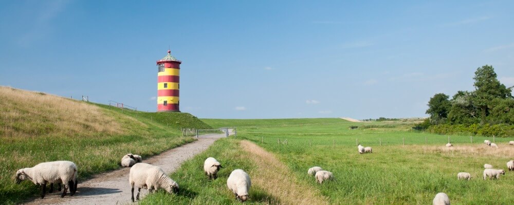 Fernstudium Finance in Niedersachsen